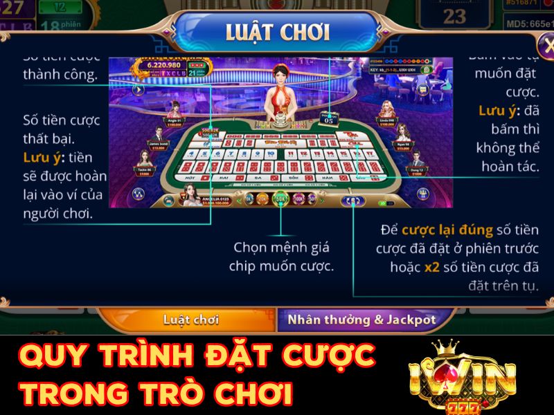 Quy trình đặt cược trong trò chơi